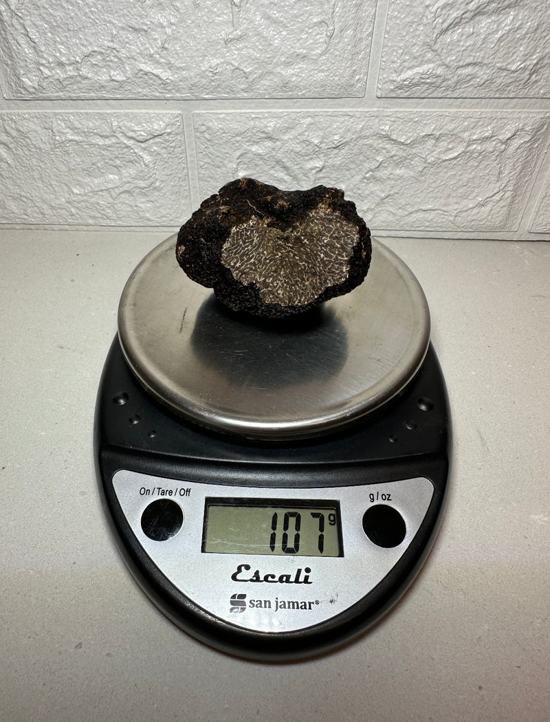 3.77 oz Fresh Australian Black Winter Truffle (Chef Price) - Compared at $420