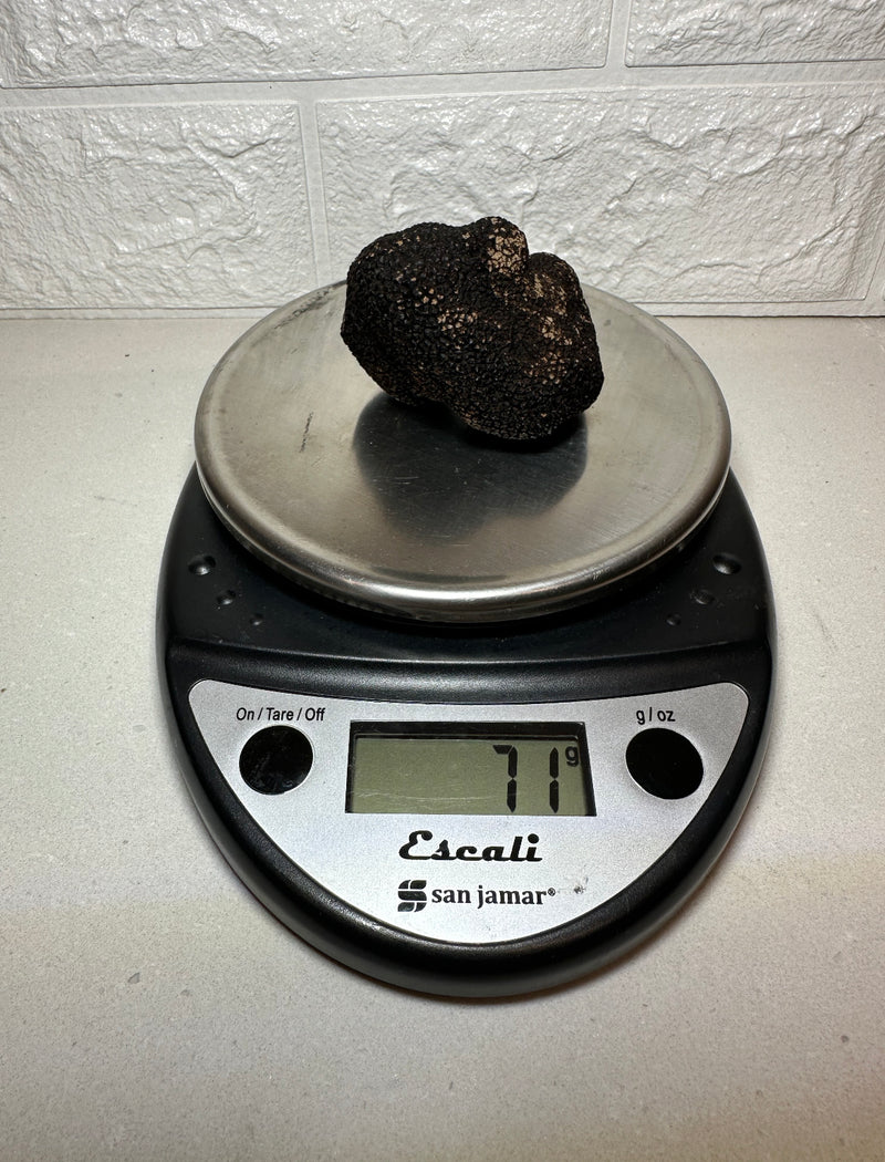 2.5 oz Fresh Black Winter Australian Truffle - Compared at $278