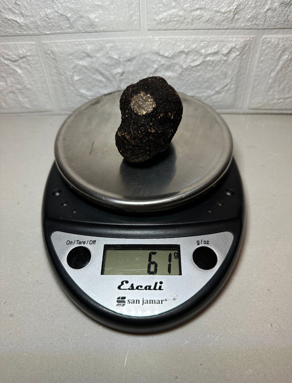 2.1 oz Fresh Australian Black Truffle (Chef Price) - Compared at $240