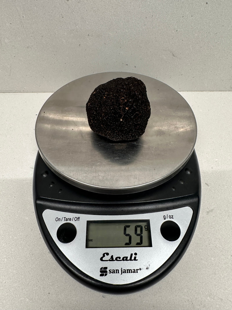 2 oz Fresh Australian Black Winter Truffle (Chef Price) - Compared at $220