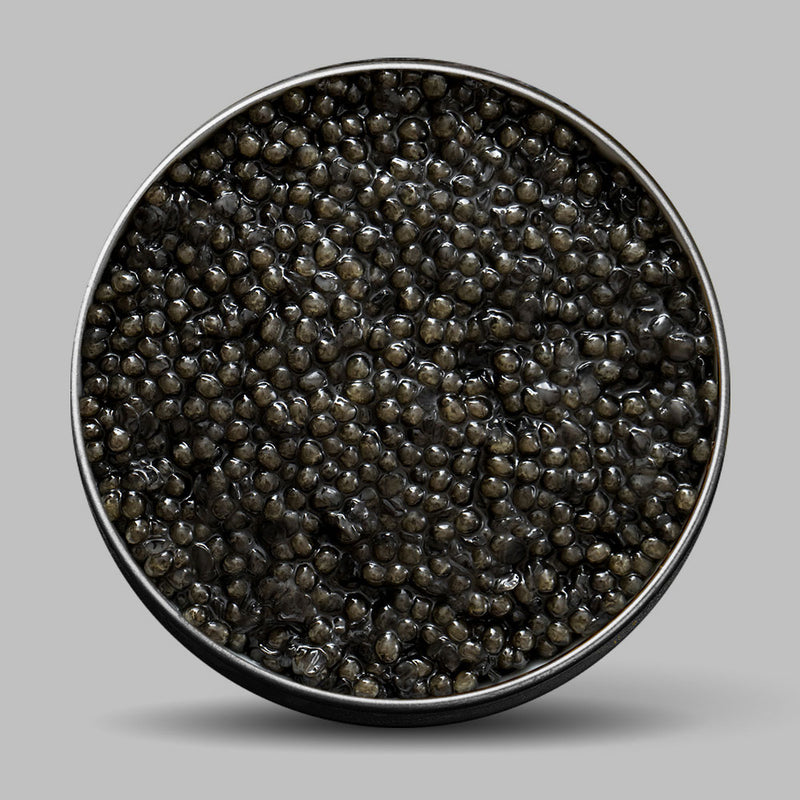 Pearl Primus Caviar (White Sturgeon)