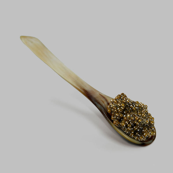 Buffalo Horn Caviar Spoon