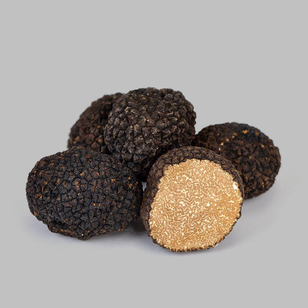 Fresh Burgundy Truffle