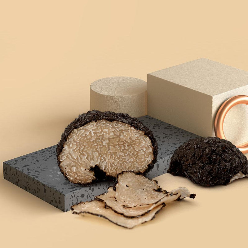 Fresh Burgundy Truffle